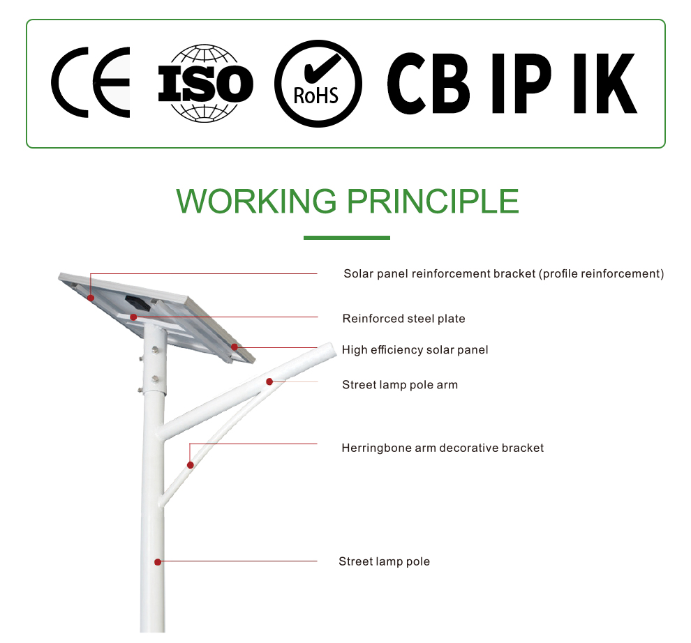 SH05 Lens Series Separate Solar LED Street Light