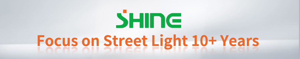 SH15 Lens Series Separate Solar LED Street Light